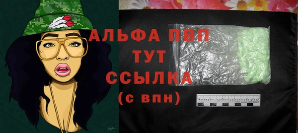 шишки Инсар