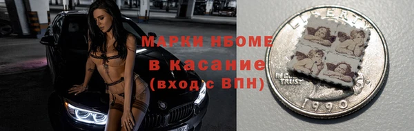 шишки Инсар