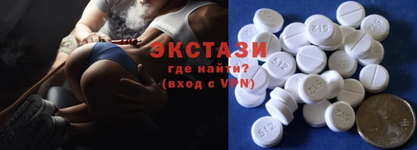 ECSTASY Каменка