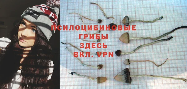 ECSTASY Каменка