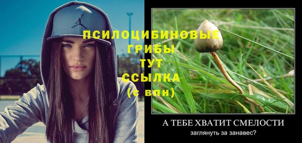 ECSTASY Каменка