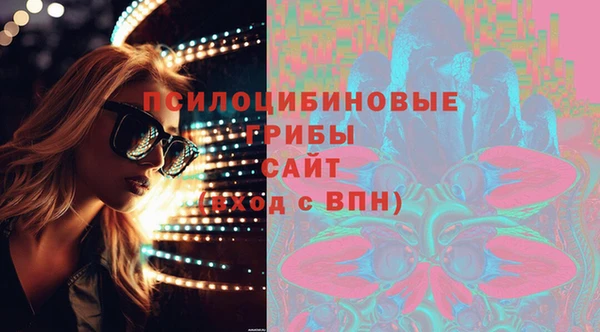 ECSTASY Каменка