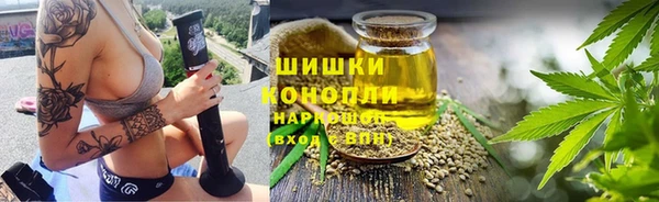 ECSTASY Каменка