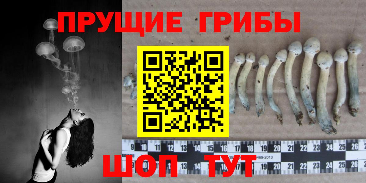 Псилоцибиновые грибы Magic Shrooms Котлас