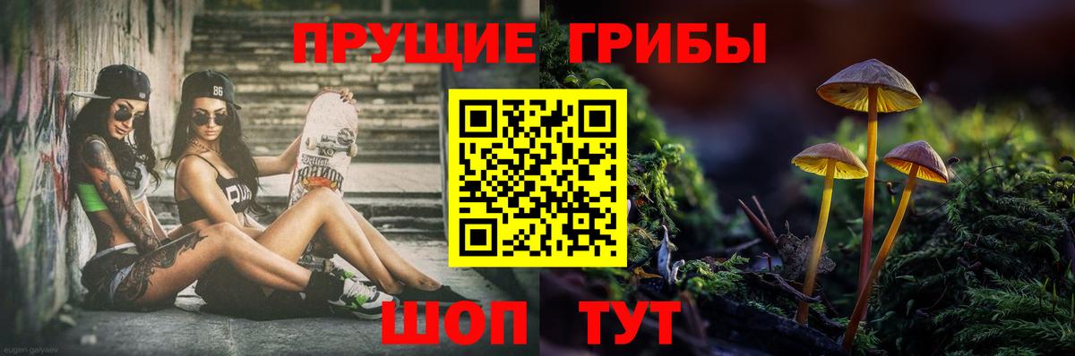 Псилоцибиновые грибы прущие грибы  Галлюциногенные грибы ЛСД  Вход с VPN  Котлас 