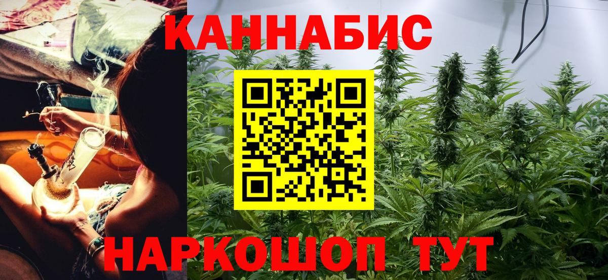 Канабис конопля  Вход с VPN  Котлас  Бошки Шишки SATIVA & INDICA 